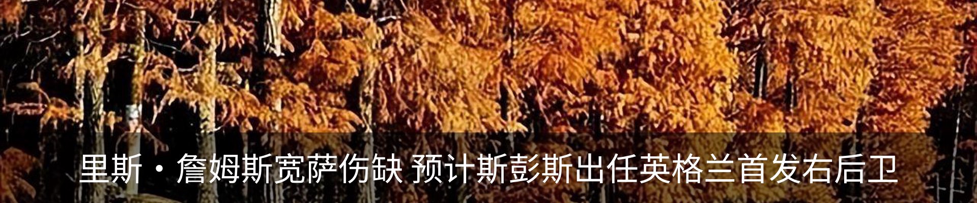 新闻动态